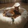 Super Soft Dog Bed Plush Cat Mat Dog Beds For Large Dogs Bed Labradors House Round 1