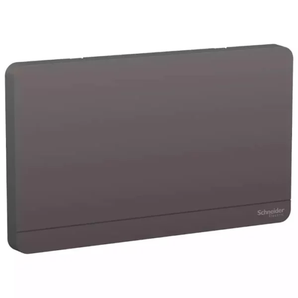 Schneider AvatarOn, 2G Blank Plate, Dark grey E8330TX_DG