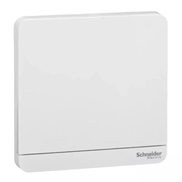 Schneider AvatarOn, time delay switch, 4 A, 250 V, White E8331PRL1_WE