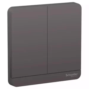 Schneider AvatarOn, 2 time delay switch, 4 A, 250 V, Dark Grey E8332PRL1_DG