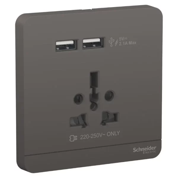 Schneider AvatarOn, USB charger + 2 socket-outlet, 2P, 16A, Dark Grey E8342616USB_DG