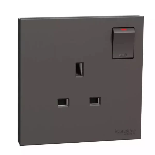 Schneider 13A 250V 1G w_ SW Soc with LED DG E8715N_DG