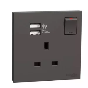 Schneider 13A 1G Sw Soc w_ 2.1A 2 port USB, DG E8715USB_DG