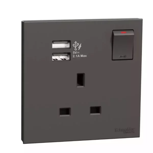 Schneider 13A 1G Sw Soc w_ 2.1A 2 port USB, DG E8715USB_DG