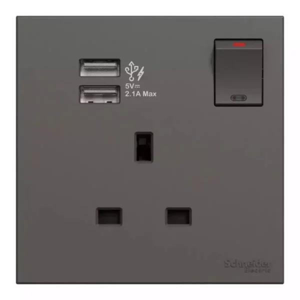 Schneider 13A 1G Sw Soc w_ 2.1A 2 port USB, DG E8715USB_DG - Image 3