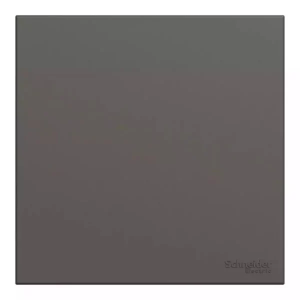 Schneider 1G BLANK PLATE DG E8730X_DG - Image 3