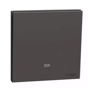 Schneider 20A 250V 1G DP w_ LED DG E8731D20N_DG