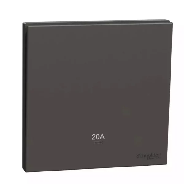 Schneider 20A 250V 1G DP w_ LED DG E8731D20N_DG