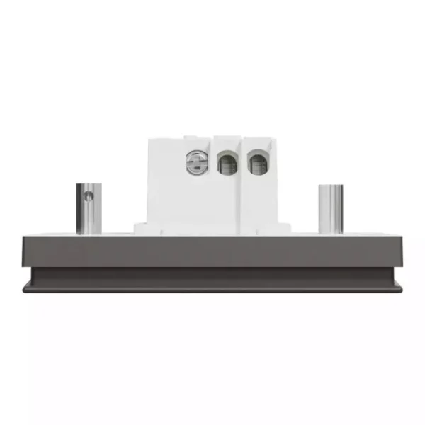 Schneider 20A 250V 1G DP w_ LED DG E8731D20N_DG - Image 4