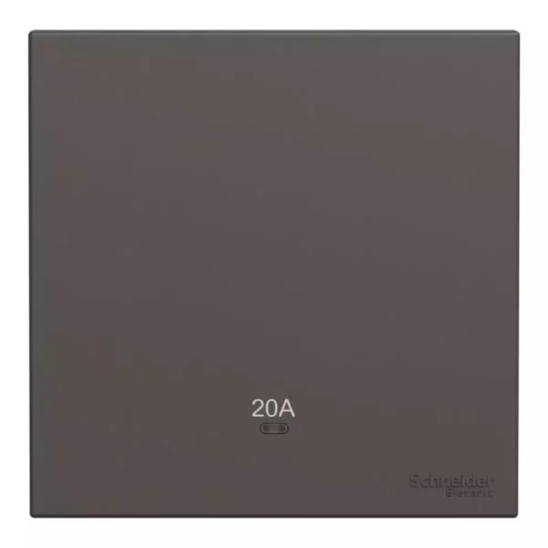 Schneider 20A 250V 1G DP w_ LED DG E8731D20N_DG - Image 3