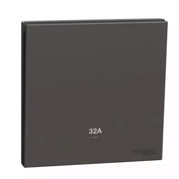Schneider 32A 250V 1G DP w_ LED DG E8731D32N_DG
