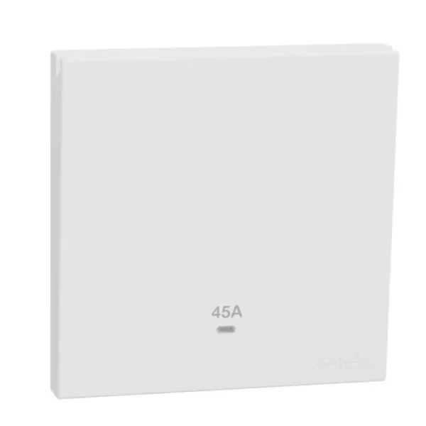 Schneider 45A 250V 1G DP w_ LED WE E8731D45N_WE