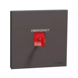 Schneider PANIC BUTTON with key reset DG E8731KPB_DG