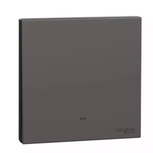 Schneider 16AX 250V 1G 1W SW w_ FL DG E8731L1F_DG
