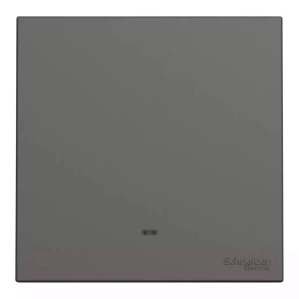 Schneider 16AX 250V 1G 2W SW w_ FL DG E8731L2F_DG - Image 3