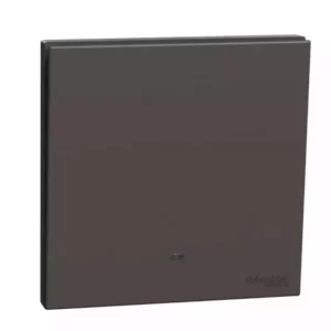 Schneider 16AX 250V 1G intemediate SW w_ FL DG E8731MF_DG