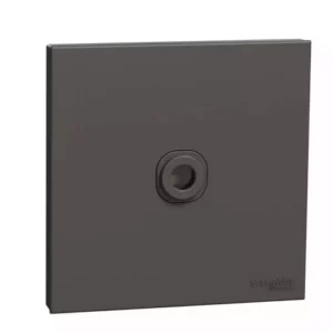Schneider 25A 250V 1G CNN U. DG E8731TB_DG