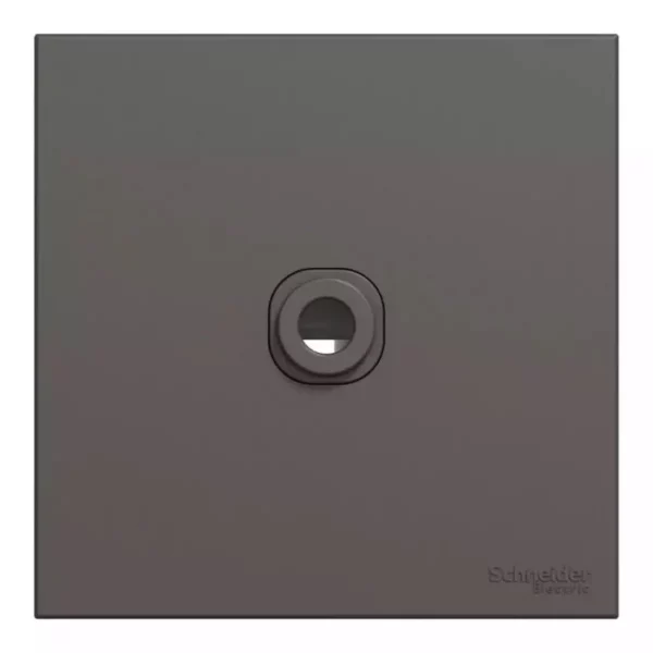 Schneider 25A 250V 1G CNN U. DG E8731TB_DG - Image 3