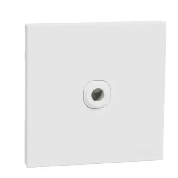 Schneider 25A 250V 1G CNN U. WE E8731TB_WE
