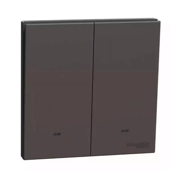 Schneider 16AX 250V 2G 2W SW w_ FL DG E8732L2F_DG