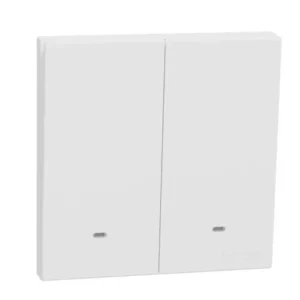 Schneider 10A 250V 2G momentary SW w_ FL WE E8732PRF_WE