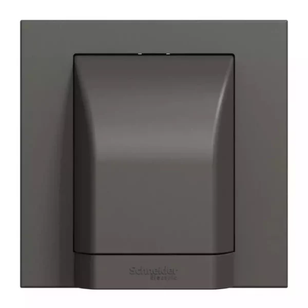Schneider 45A 250V 1G CNN U. DG E87554_DG - Image 3