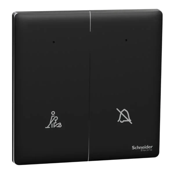 Schneider NUX32DMS_JB